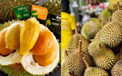 Durian 101: Your Ultimate Guide To Popular Varieties, Best Time To Eat, & Where To Buy Them