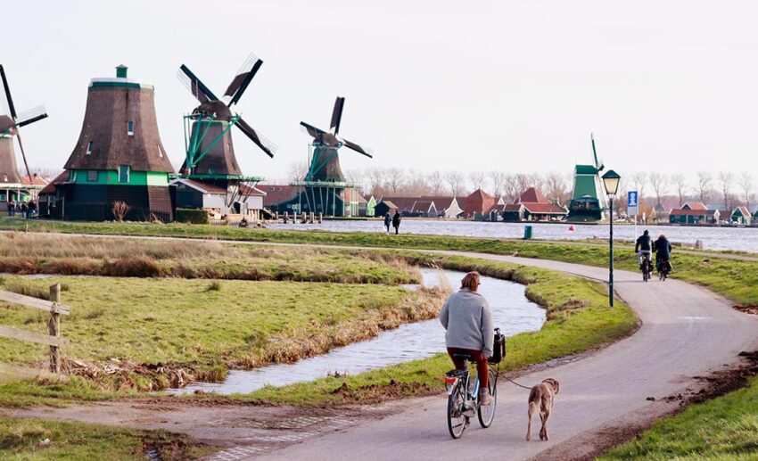 General advice for cycling in the Netherlands: