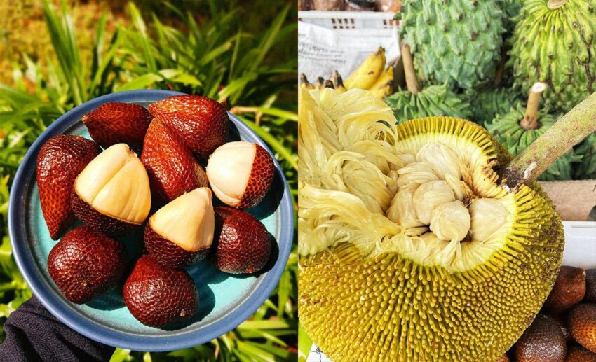 10 Indigenous Fruits in Malaysia and Where To Find Them - Zafigo