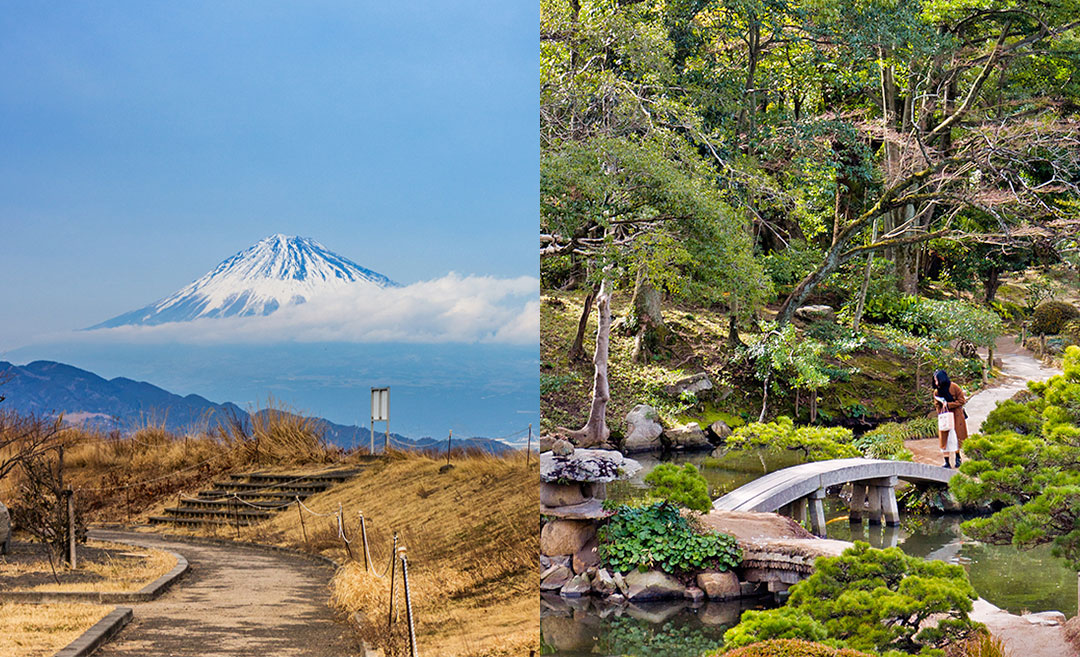 Snapshots: 28 Days In Japan – From Food To Fuji & Everything In Between