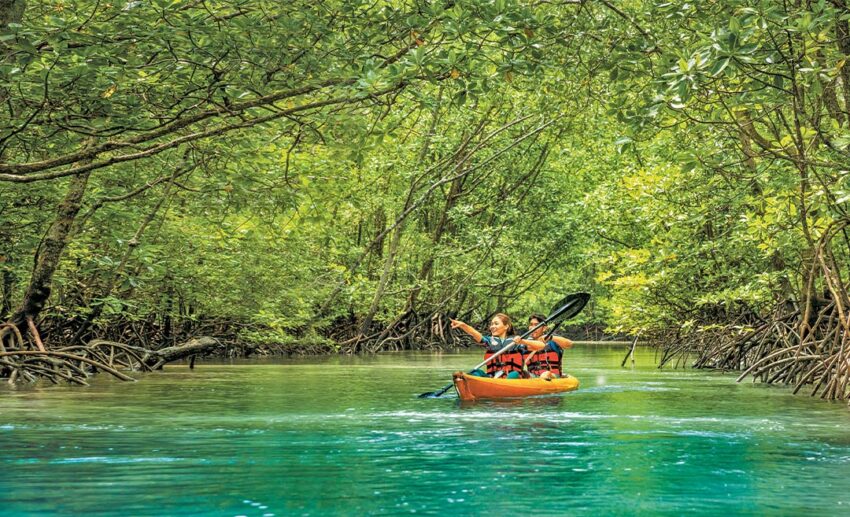 Kubang Badak Mangrove Reserve