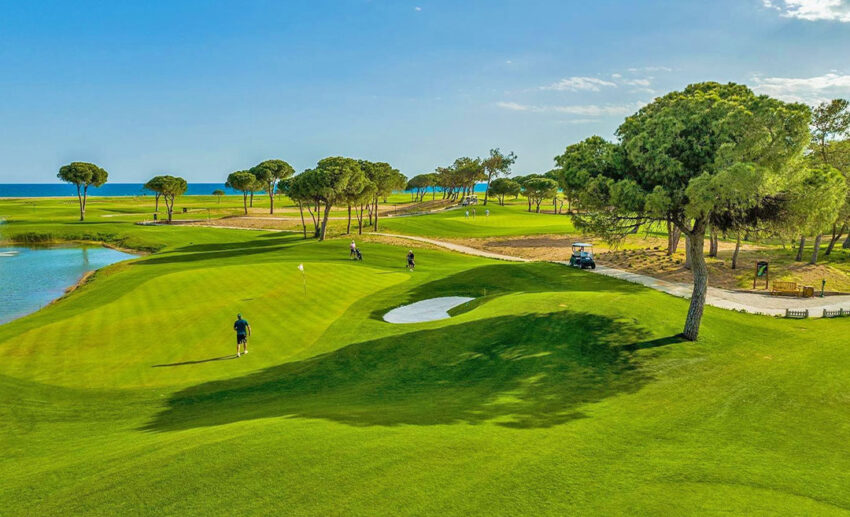 Hit the green in Turkiye