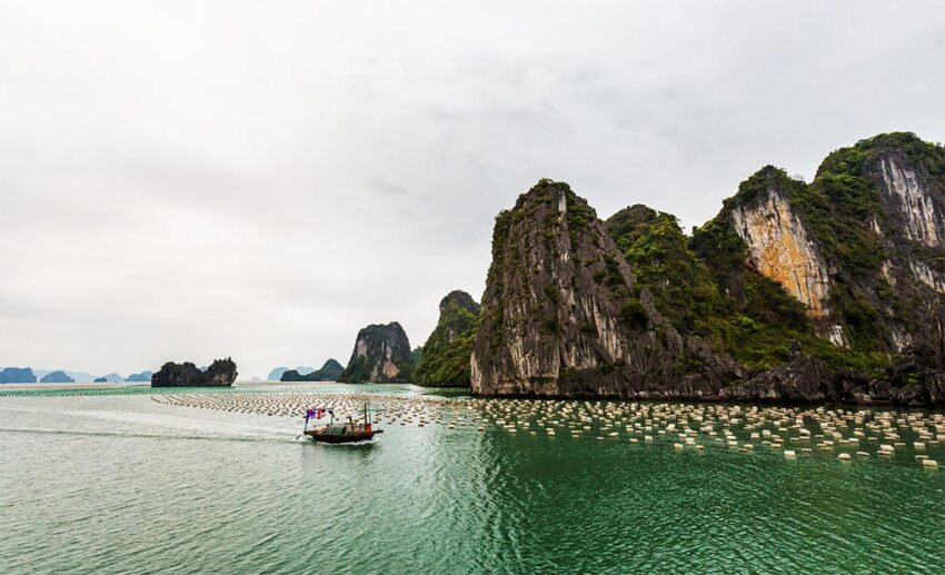 6. Bai Tu Long Bay, Vietnam