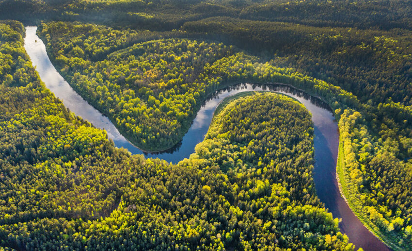 The Amazon Rainforest, South America