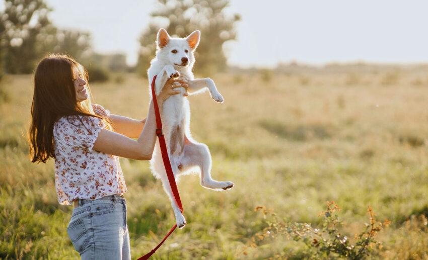 1. First, get a trusted pet sitter