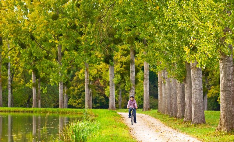 Burgundy By Bike: French Wine Trails & Countryside Charms