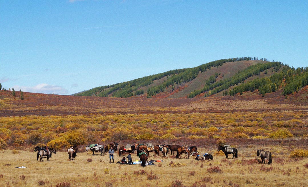 Saddle Up: 5 Reasons Why Horse Riding In Mongolia Should Be On Your Bucket List