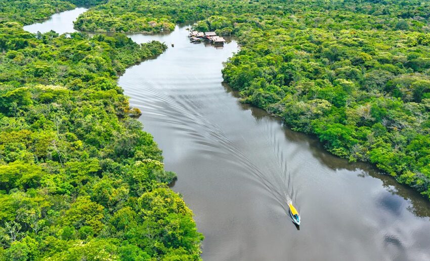 1. Amazon Rainforest