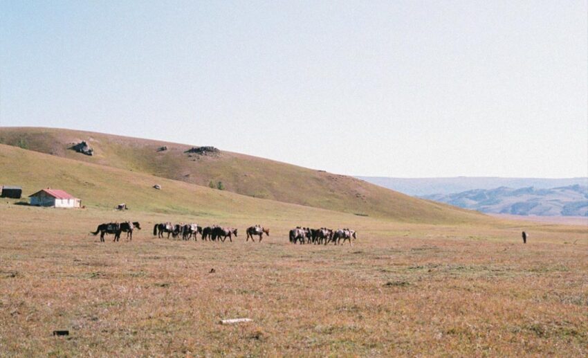3. You’ll experience the freedom and exhilaration of galloping across seemingly infinite plains