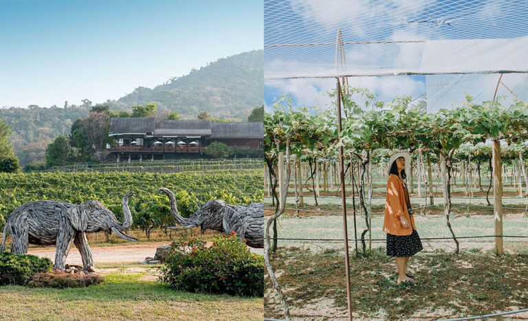 Grape Escape: 5 Charming Vineyards in Thailand To Visit