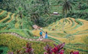 7 Rice Terraces In Asia That Will Take Your Breath Away