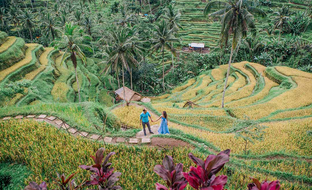 Visual Guide: 7 Rice Terraces In Asia That Will Take Your Breath Away