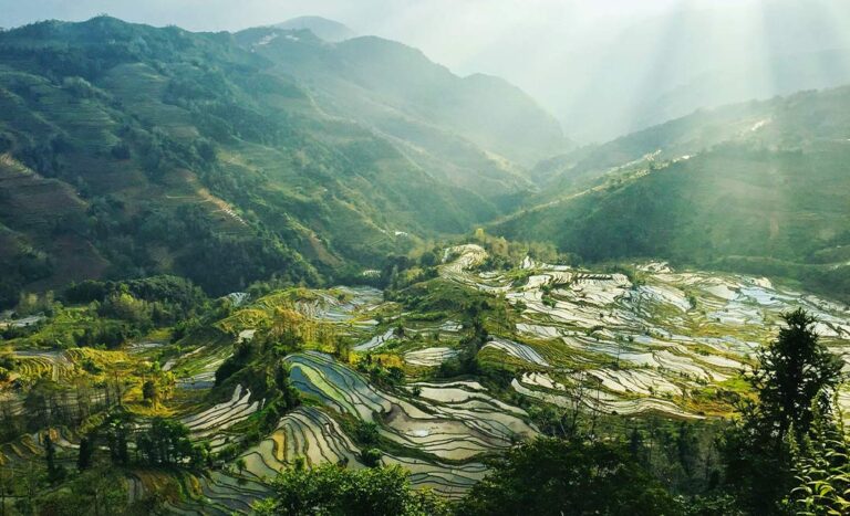 7 Rice Terraces In Asia That Will Take Your Breath Away