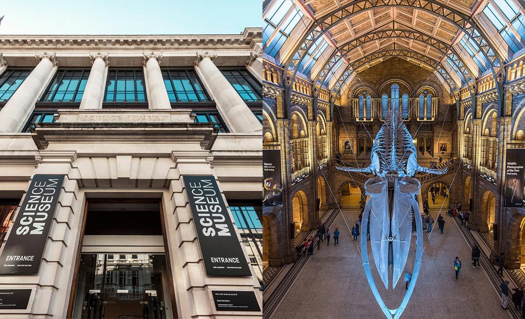 London On A Budget: Free Museums To Check Out For An Educational Trip