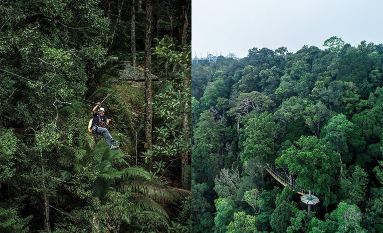 Guide To Penang Hill: Flora, Fauna & A Panoramic View Of Georgetown