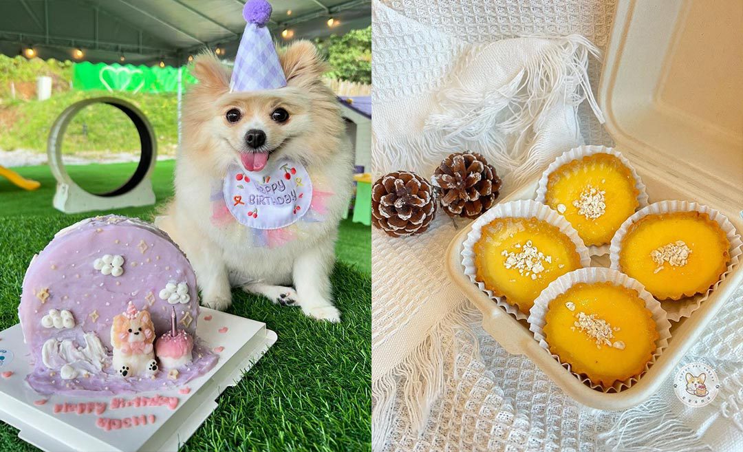 8 Pet Bakeries In Malaysia Making Pawsome Cakes For Furkids