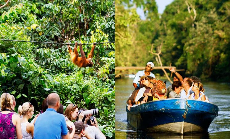 Wild Malaysia: The Best Locations To See Wildlife