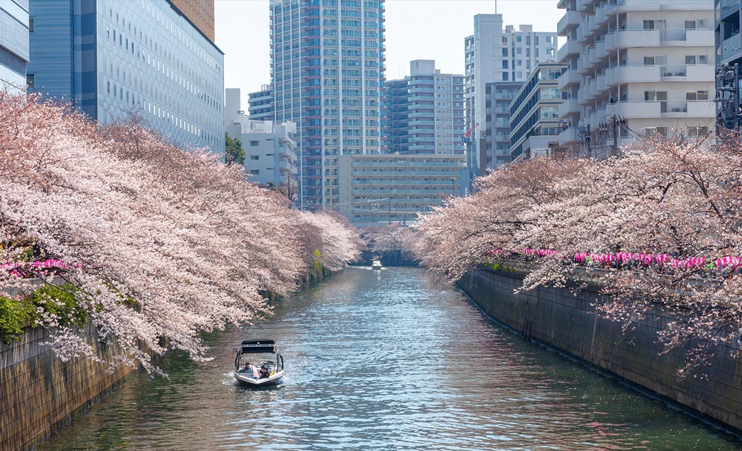 Hidden Gems Of Tokyo: 6 Cool Neighbourhoods Off The Beaten Path