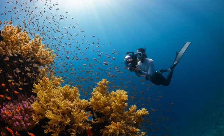 11 Conservation Programmes In Malaysia To Volunteer At While Travelling