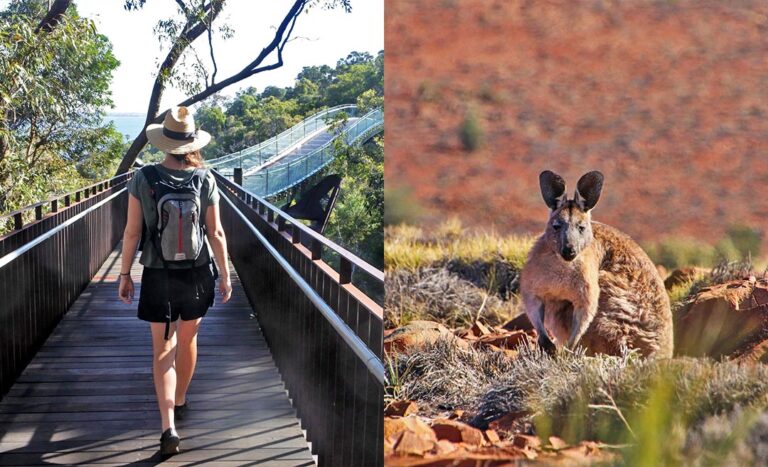 Western Australia’s All-In-One Adventure: From City Trails To Outback Tales