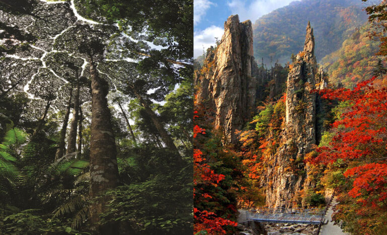 Newly Crowned: Asia’s Newest UNESCO World Heritage Sites To Have On Your Travel Radar