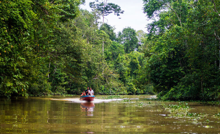 UNESCO Adds Kinabatangan — Malaysia Now Has Four Biosphere Reserves