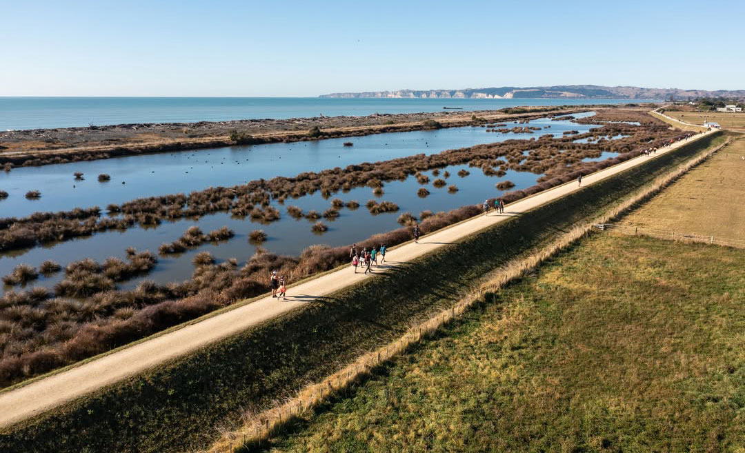 Aerial drone view of marathon runners on a scenic coastal trail during the Hawke’s Bay Marathon in New Zealand, a top destination for a 2026 race-cation.