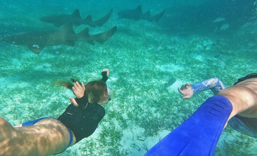 The author and her friend snorkelling together in shallow turquoise water surrounded by small fish and harmless nurse sharks at Shark Ray Alley, Belize.