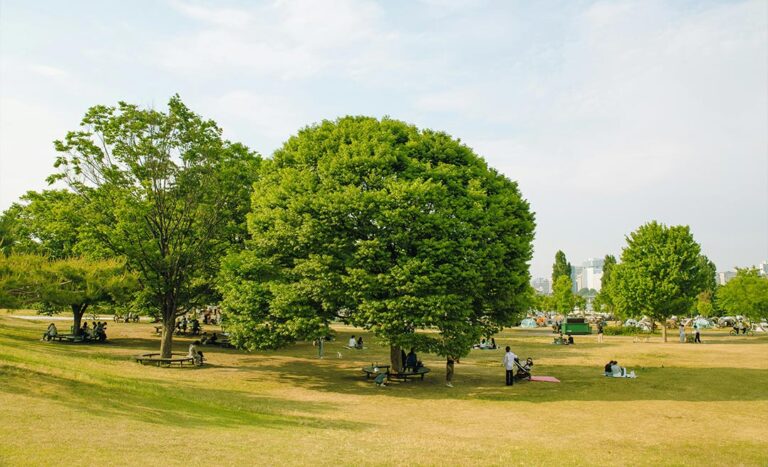 4 Nature Spots In Seoul For Outdoor Lovers And City Escapes