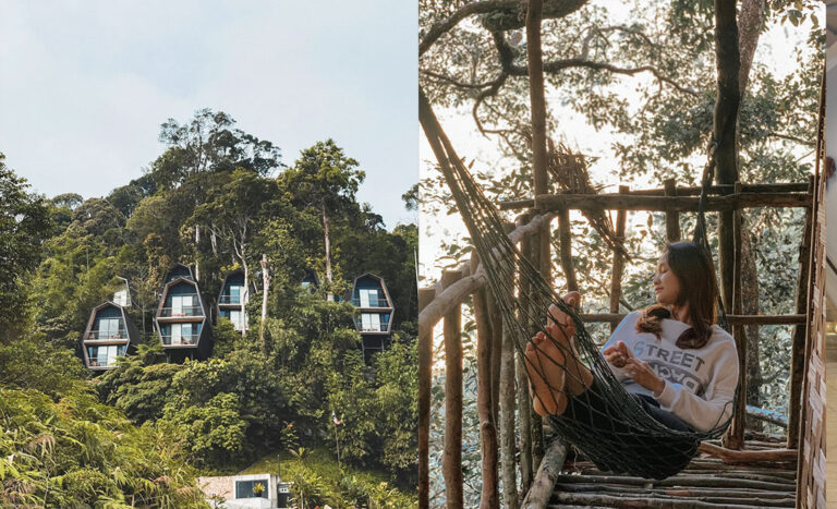 7 Treehouse Escapes In Malaysia For A Restorative Nature Retreat