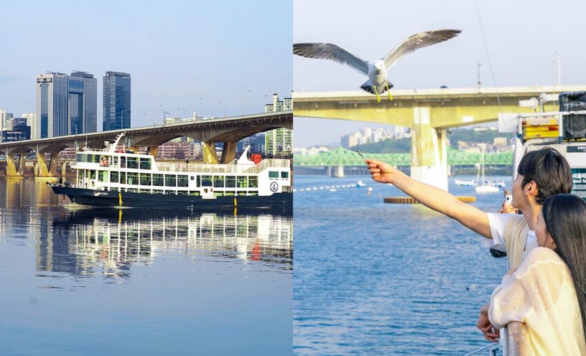 A ferry boat on the Han River and a person's hand outstretched feeding a seagull from the boat deck.