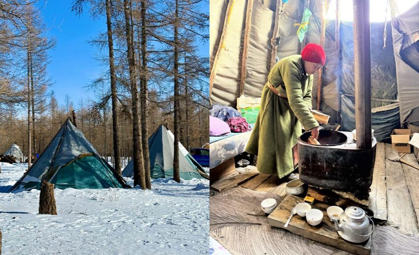 (Left) Two traditional Tsaatan teepees (ortz) set up in the snow among winter trees; (Right) A Dukha woman making Suutei Tsai (milk tea) inside a teepee.
