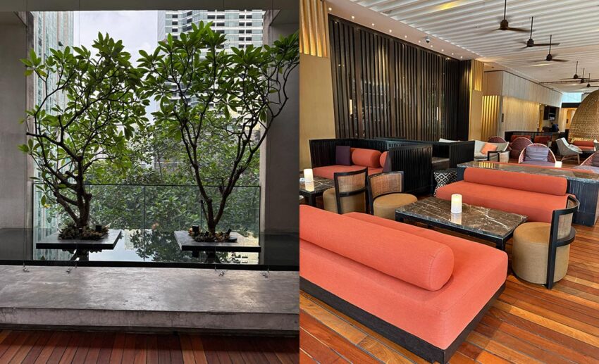 Lush green plants and trees on the SANTAI terrace next to a close-up of poolside lounge chairs at The RuMa.