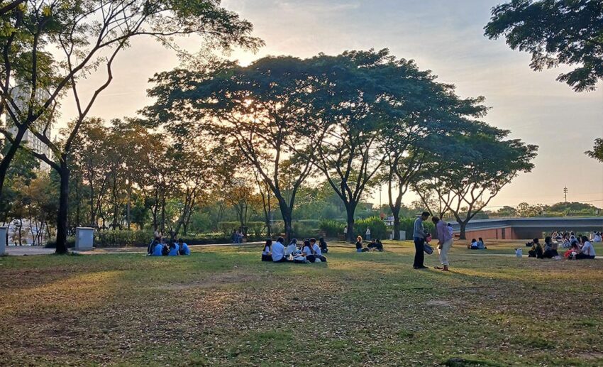 A wide shot of the peaceful park near Chulalongkorn University in Bangkok during the golden hour.