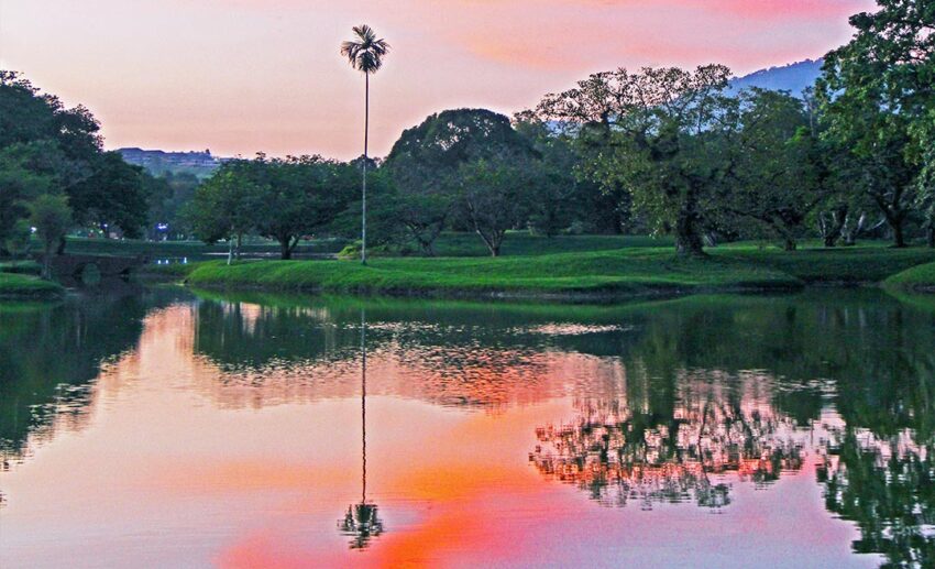 A vibrant pink and orange sunset over the calm waters of the Lake Gardens in Taiping, Malaysia.