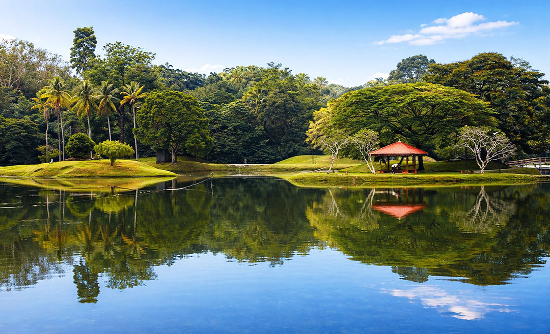 A tranquil morning view of the still waters at Taiping Lake Gardens, surrounded by lush tropical greenery at the base of Bukit Larut, Perak.