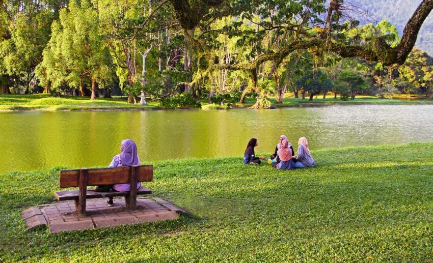 A woman sitting on a bench and a group of women gathering on the grass at the edge of Taiping Lake, with iconic rain trees leaning over the water.