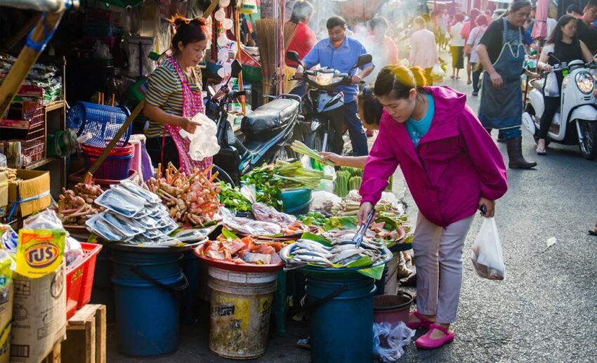 A woman selecting fresh fish at a stall in the Chang Puak Gate Market in Chiang Mai during a calm morning.