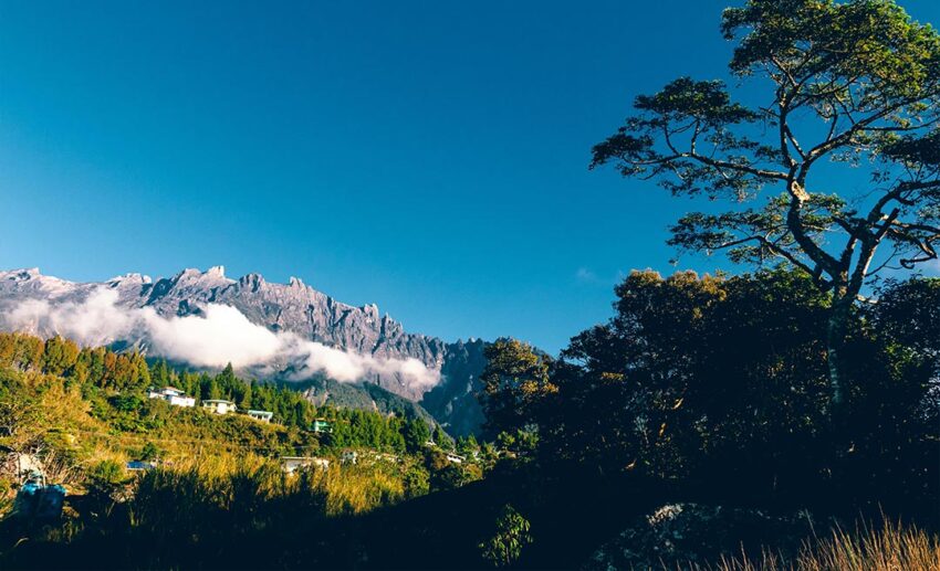 A daytime, high-altitude scenic view of lush tropical trees and the silhouette of Mount Kinabalu in Sabah, Malaysia.