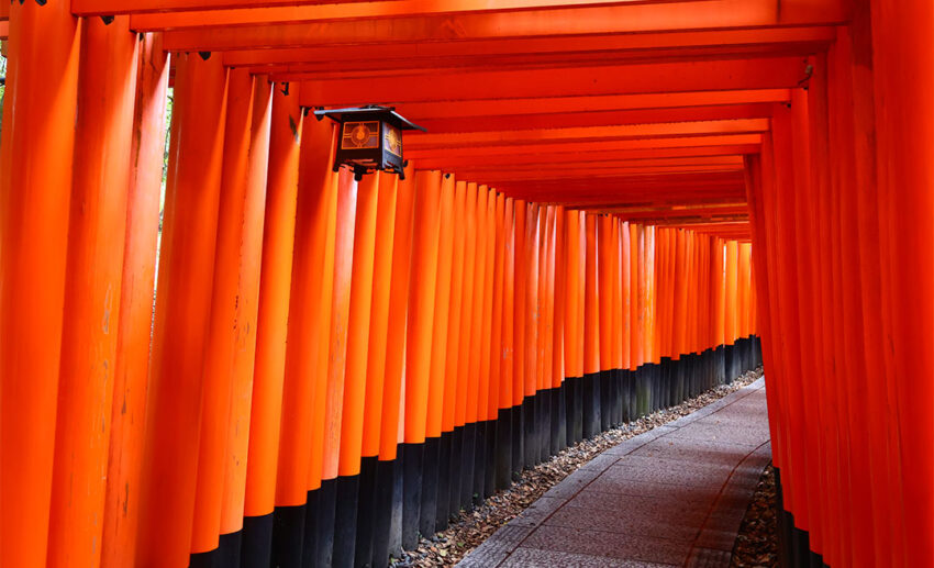 The orange torii gates of Fushimi Inari-taisha in Kyoto at dawn, completely empty of people.