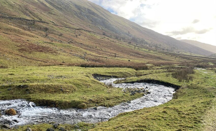 A peaceful shot of a small, clear water stream flowing over rocks in the Lake District, surrounded by summer greenery.