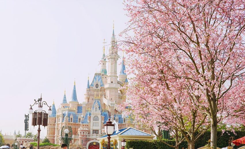 The iconic white and blue architecture of Shanghai Disneyland Park seen through the branches of trees during the spring season.