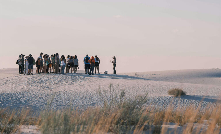 Why Travel Agents Still Matter: When To Use One And How They Make Trips Easier
