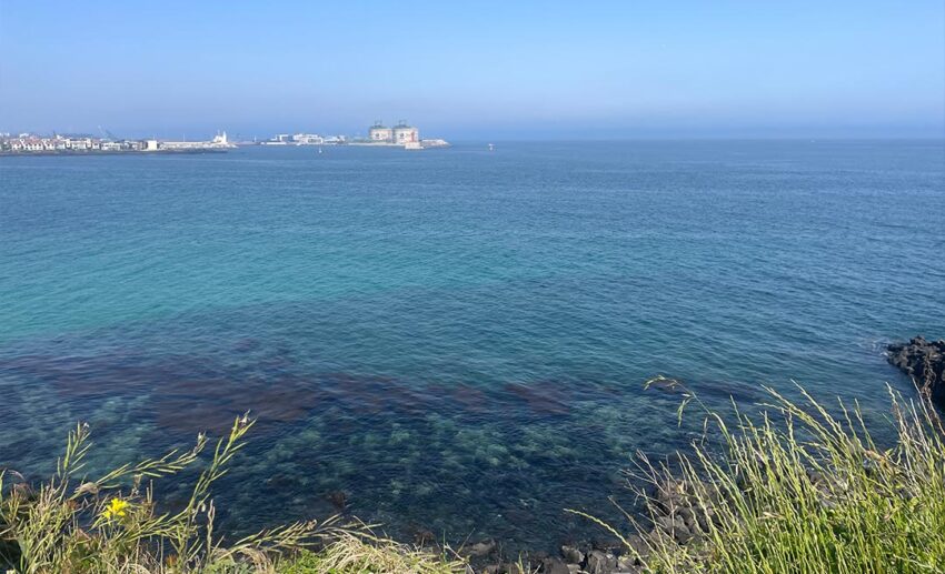 A scenic view from the Jeju Island coastal bike path, looking out across the blue and emerald sea crashing against volcanic rocks.