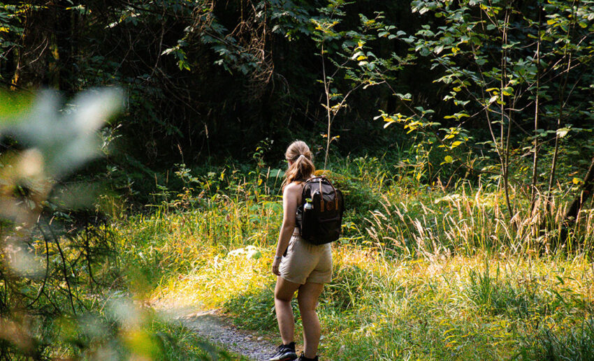 Solo woman wearing a backpack hiking on a nature path through a lush tropical rainforest trail in Malaysia