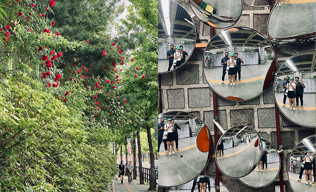 A two-image collage from a trip to Seoul, South Korea; the left photo shows vibrant pink rose bushes blooming along a street, and the right photo shows a group of friends taking a playful reflection selfie in a convex mirror inside a subway station.