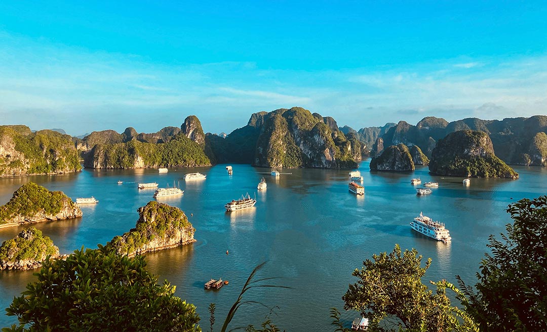 Traditional wooden junk boats and cruise vessels floating on the emerald waters of Ha Long Bay surrounded by towering limestone islets in Quang Ninh, Vietnam.