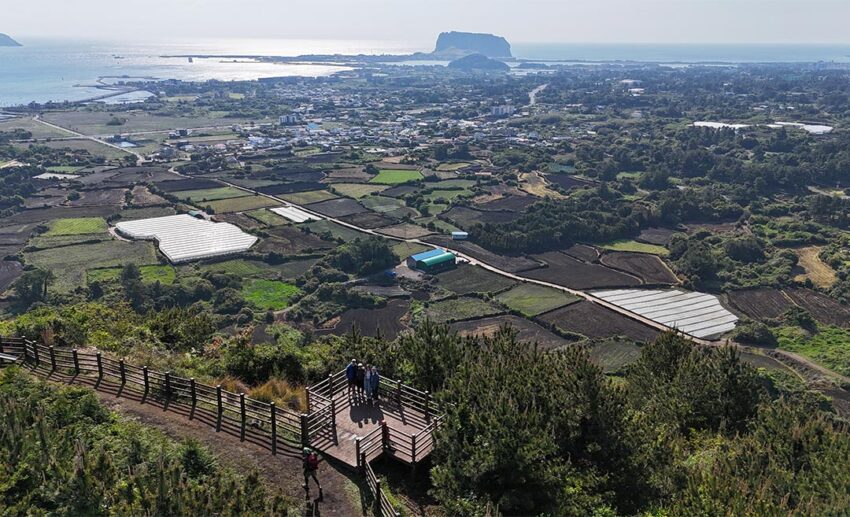 A sweeping, panoramic view of the rugged, volcanic east coast of Jeju Island, where green hills meet the deep blue ocean.