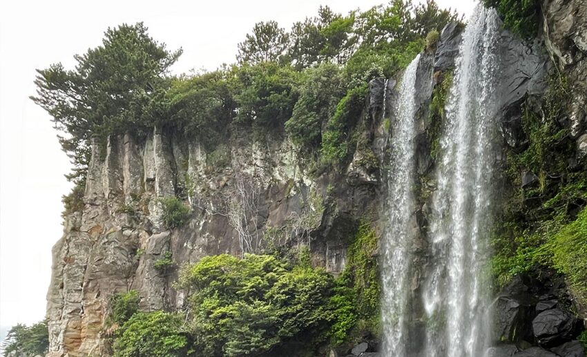 The dramatic Jeongbang Waterfall cascading down a high rocky cliffside directly into the ocean pool below on Jeju Island.