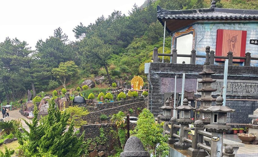 Weathered volcanic rock Dol Hareubang statues standing peacefully among citrus trees on the grounds of the sea-facing Sanbanggulsa Temple.